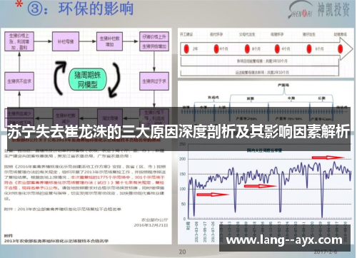 苏宁失去崔龙洙的三大原因深度剖析及其影响因素解析 苏宁失去崔龙洙的三大原因深度剖析及其影响因素解析