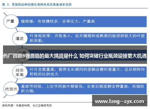 药厂晋级8强面临的最大挑战是什么 如何突破行业瓶颈迎接更大机遇