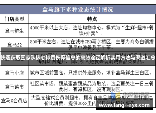 快速获取国家队核心球员伤停信息的高效途径解析实用方法与渠道汇总