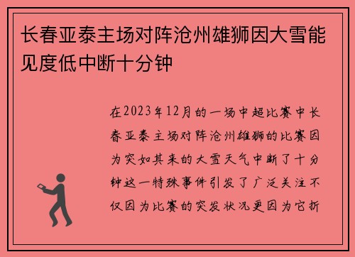 长春亚泰主场对阵沧州雄狮因大雪能见度低中断十分钟